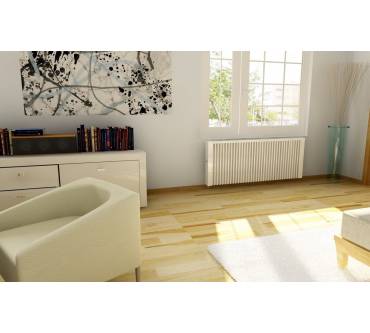 Produktbild Thermotec Elektroheizung 2450 Watt