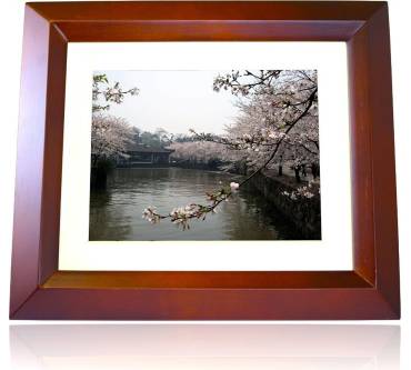 Produktbild Xoro DPF 8B1