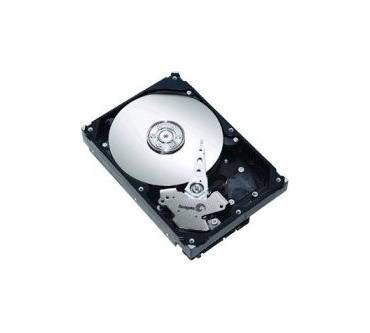 Produktbild Seagate Barracuda 7200.9 ST3300622AS