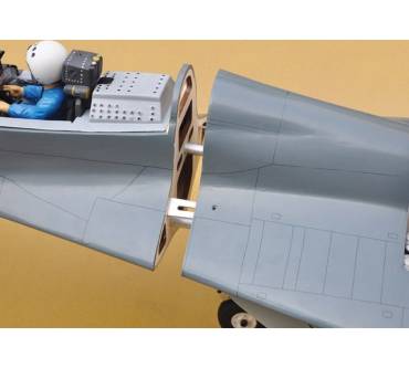 Produktbild Black Horse Models MIG-29