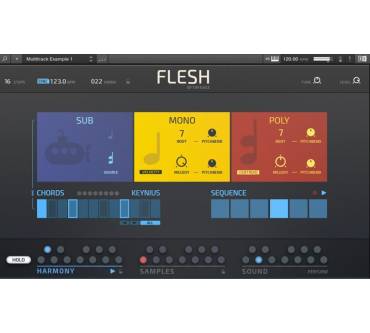 Produktbild Native Instruments Flesh