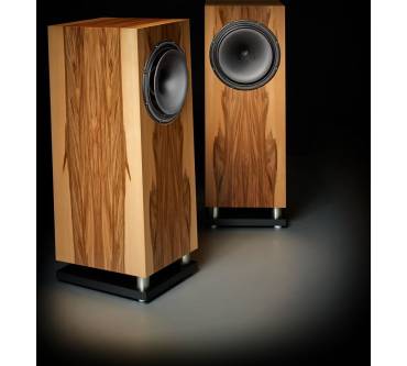 Produktbild Tobian Soundsystems Standmonitor 12