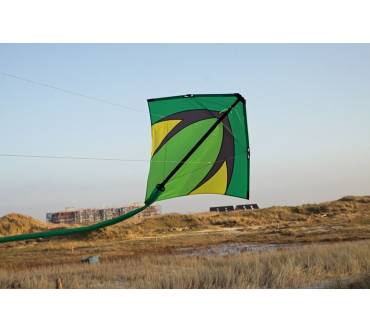 Produktbild Spiderkites Leon XL