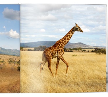 Produktbild Fujifilm Fotoservice Pro Fotobuch A3 Panorama