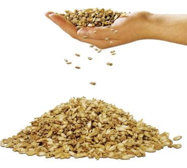 Produktbild f.a.n. Sleep & Care Dinkelkissen