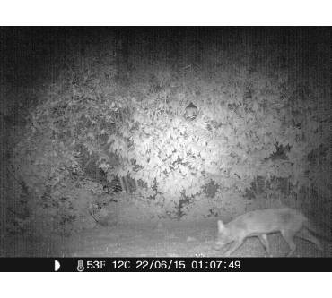 Produktbild Crenova 1080P HD Wildkamera