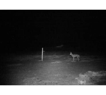 Produktbild Bresser Wildkamera 60° 10MP