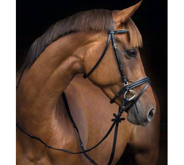 Produktbild Kerbl Trensenzaum Silverado 2.0