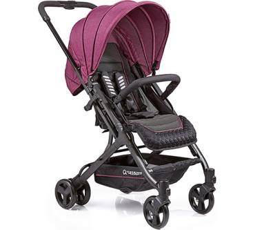 Produktbild Gesslein Buggy S8