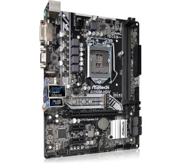 Produktbild ASRock B250M-HDV