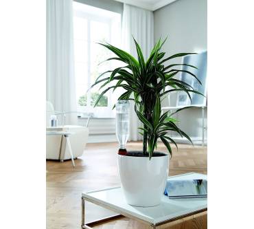 Produktbild Bio Green Hydro Classic