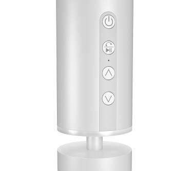 Produktbild Raidsonic Icybox IB-SP202-BT