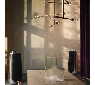 Produktbild Bang & Olufsen BeoLab 50