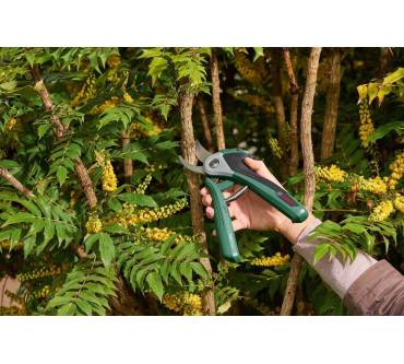Produktbild Bosch Easy Prune