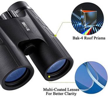 Produktbild BNISE 10X42 HD