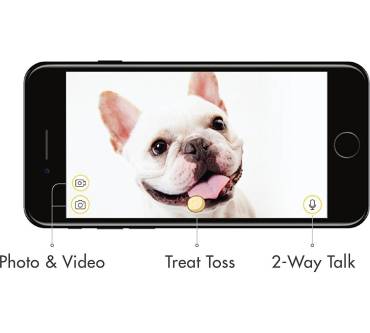 Produktbild Furbo Dog Camera