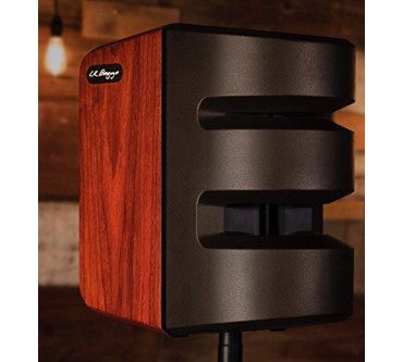 Produktbild L.R. Baggs Synapse