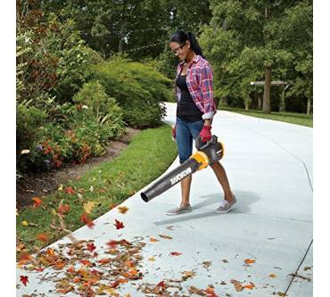 Produktbild Worx WG546E.9