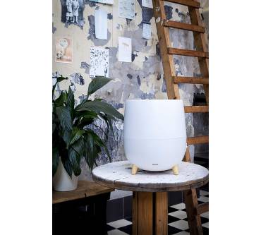 Produktbild Duux Ovi