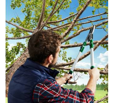 Produktbild Aldi Nord / Garden Feelings Teleskop-Astschere