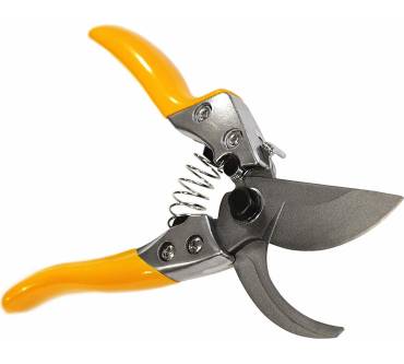 Produktbild Grüntek Phoenix 295200018