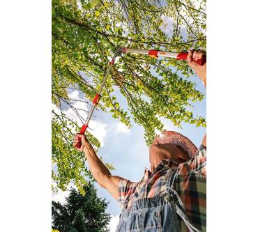 Produktbild Wolf-Garten Power Cut RS 900 T