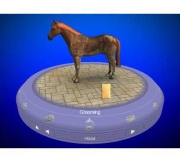 Produktbild My Horse & Me - Mein Pferd & Ich