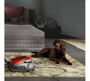 Produktbild AEG VX9-2-CR-A