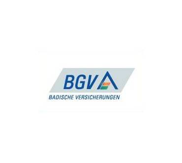 Produktbild BGV Allg. Exklusiv (Vermögenssumme 10 Mio. Euro) - Private Haftpflichtversicherung