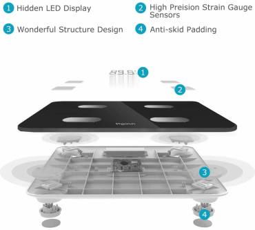 Produktbild Vigorun F12E