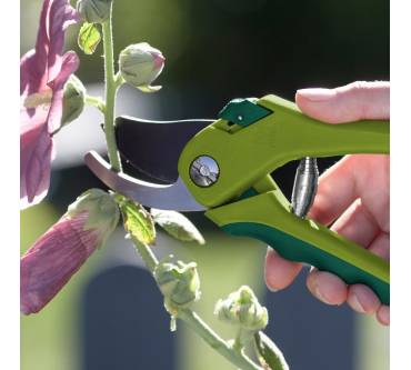 Produktbild Aldi / Gardenline Garten- und Rosenschere