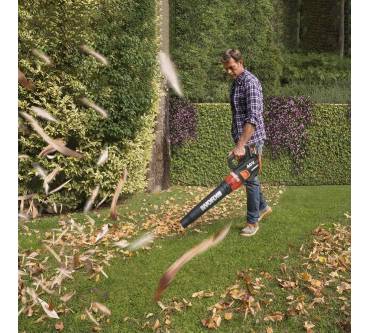 Produktbild Worx WG584E