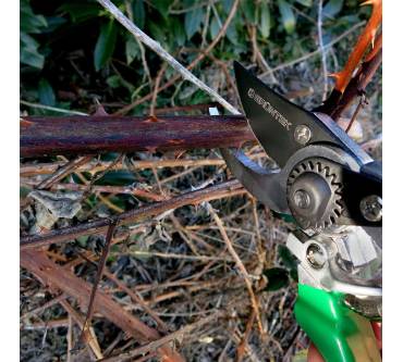 Produktbild Grüntek Falke