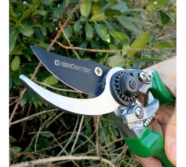 Produktbild Grüntek Falke