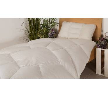 Produktbild allnatura Daunen-Körperzonen-Bettdecke Ansara-Forma