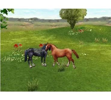 Produktbild Lissy: Horse Life - Freunde für immer