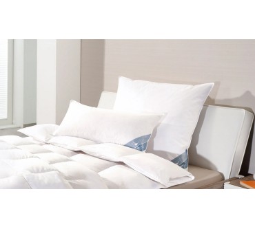 Produktbild Häussling Reformetta Premium Kopfkissen mit Federn & Daunen