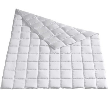 Produktbild Häussling Reformetta Daunen-Kassettenbettdecke „leicht“