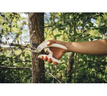 Produktbild Fiskars P57