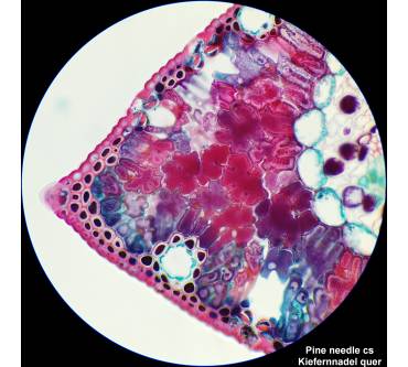 Produktbild Bresser Researcher Bino