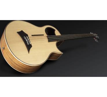 Produktbild Warwick The Alien Acoustic (Fretless Version)