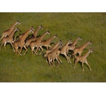 Produktbild Blu-ray Die Erde von Oben 1 - Artenvielfalt, Erde und Ressourcen