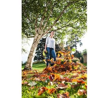 Produktbild Ryobi OBL18JB