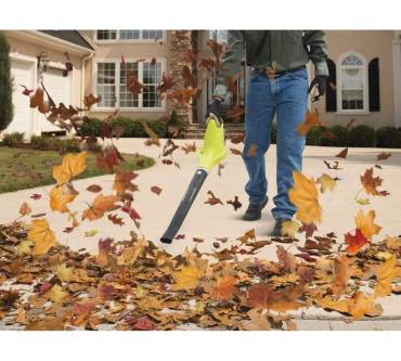 Produktbild Ryobi OBL1820S