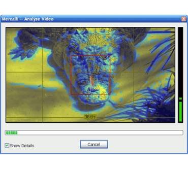 Produktbild proDAD Mercalli