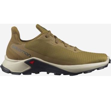 Produktbild Salomon Alphacross 3