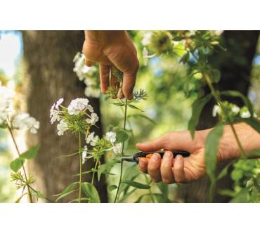 Produktbild Fiskars Snip, microtip