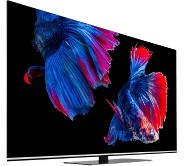 Produktbild Medion Life X16595 (MD 33989)