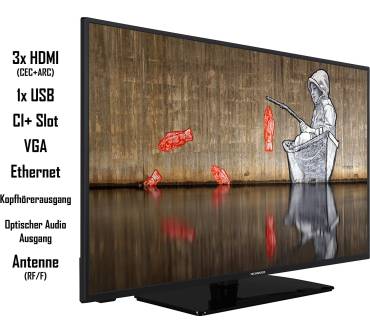 Produktbild Techwood F40TS550S