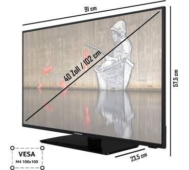 Produktbild Techwood F40TS550S